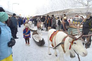 Renrrajd på Jokkmikks marknad.