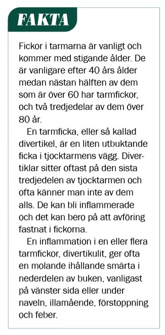 Fakta